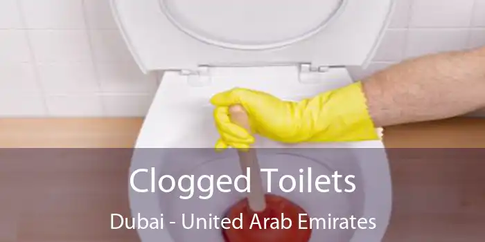 Clogged Toilets Dubai - United Arab Emirates