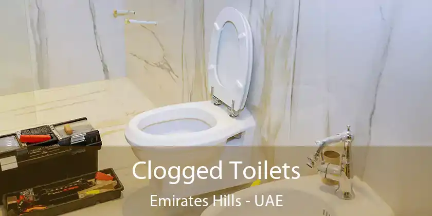  Clogged Toilets Emirates Hills - UAE