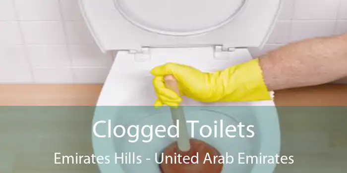 Clogged Toilets Emirates Hills - United Arab Emirates