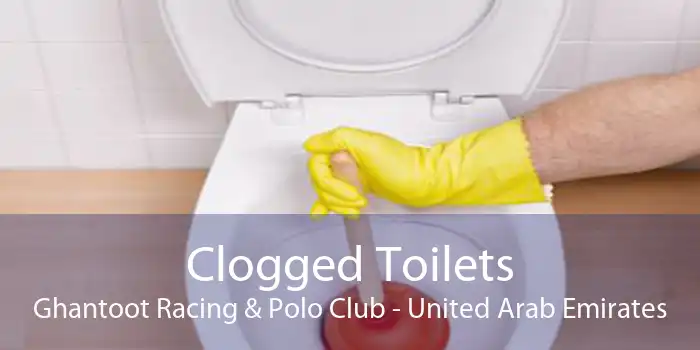 Clogged Toilets Ghantoot Racing & Polo Club - United Arab Emirates