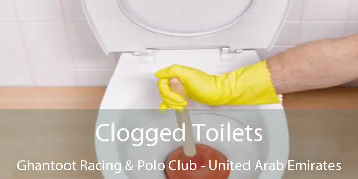 Clogged Toilets Ghantoot Racing & Polo Club - United Arab Emirates