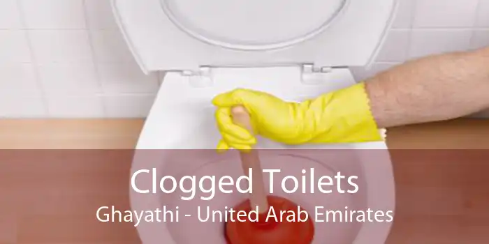 Clogged Toilets Ghayathi - United Arab Emirates