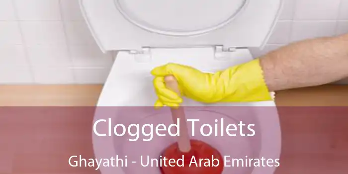 Clogged Toilets Ghayathi - United Arab Emirates