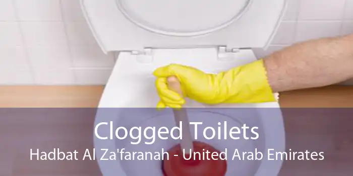 Clogged Toilets Hadbat Al Za'faranah - United Arab Emirates