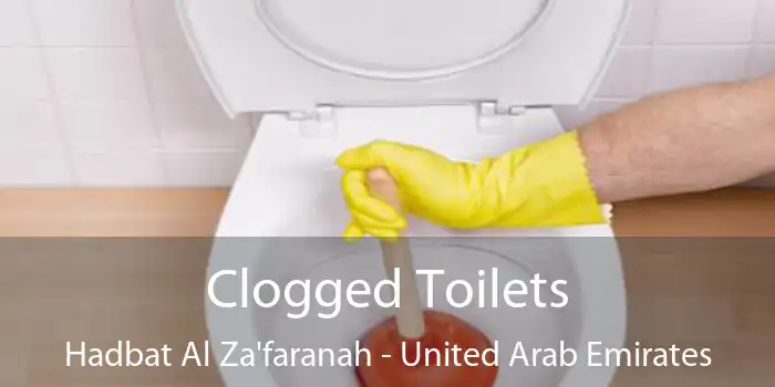 Clogged Toilets Hadbat Al Za'faranah - United Arab Emirates