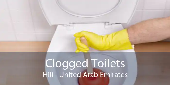 Clogged Toilets Hili - United Arab Emirates