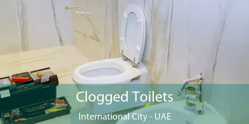 Clogged Toilets International City - UAE
