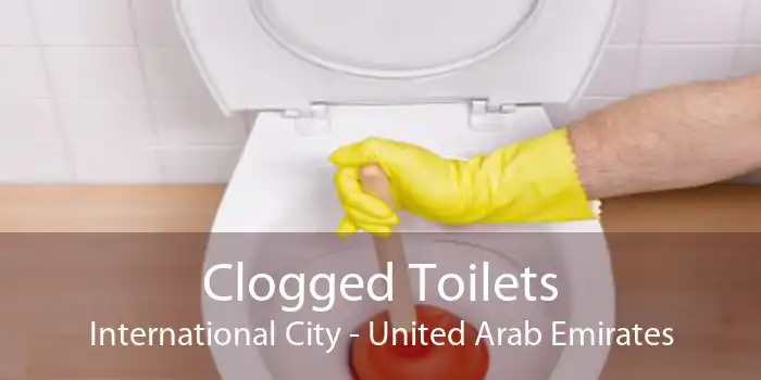 Clogged Toilets International City - United Arab Emirates