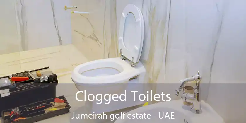 Clogged Toilets Jumeirah Golf Estate - UAE