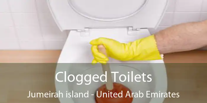 Clogged Toilets Jumeirah island - United Arab Emirates