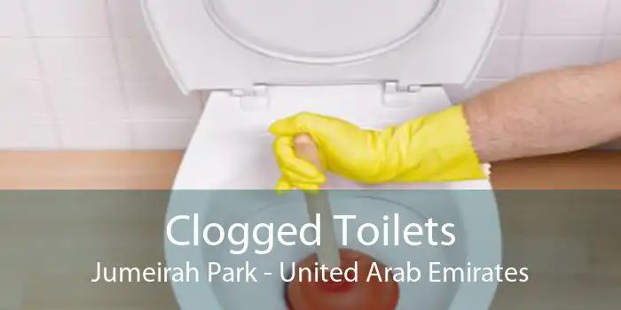 Clogged Toilets Jumeirah Park - United Arab Emirates