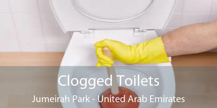 Clogged Toilets Jumeirah Park - United Arab Emirates