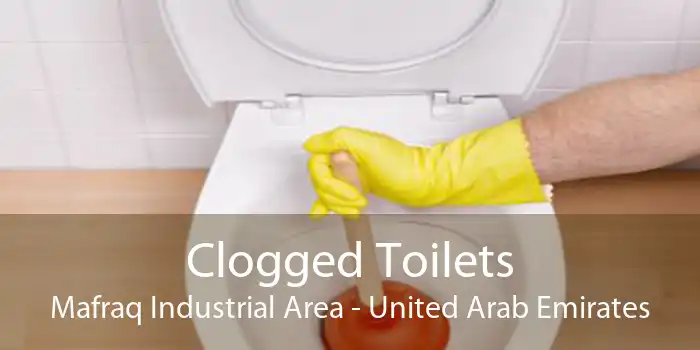 Clogged Toilets Mafraq Industrial Area - United Arab Emirates