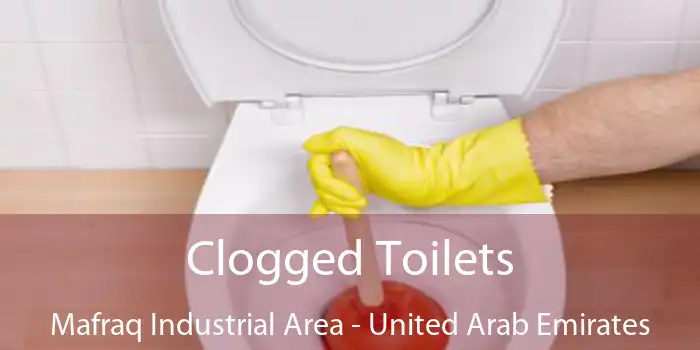 Clogged Toilets Mafraq Industrial Area - United Arab Emirates