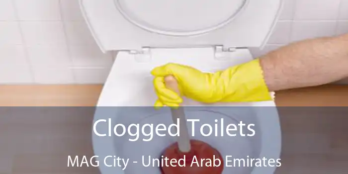 Clogged Toilets MAG City - United Arab Emirates