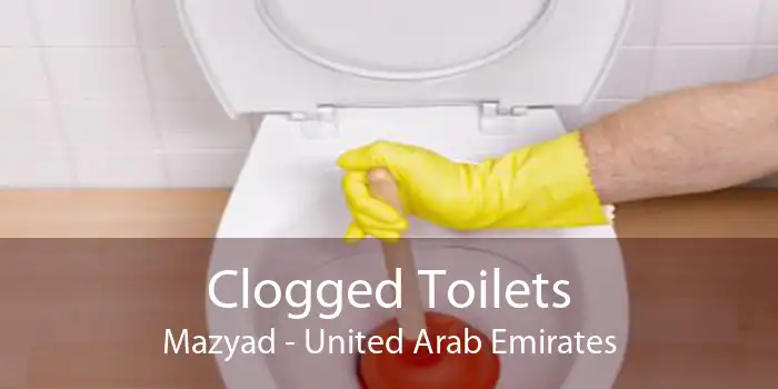 Clogged Toilets Mazyad - United Arab Emirates