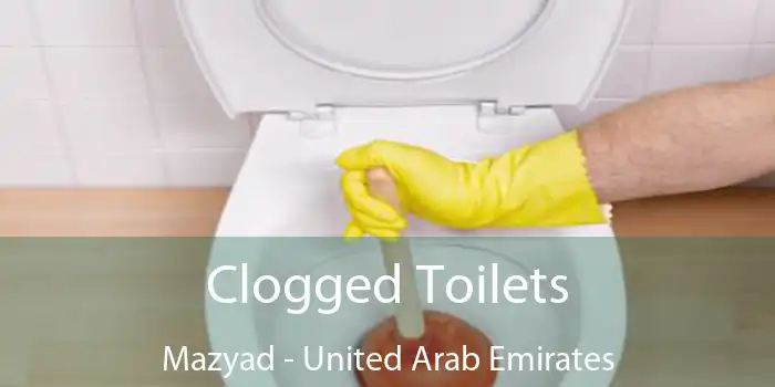 Clogged Toilets Mazyad - United Arab Emirates