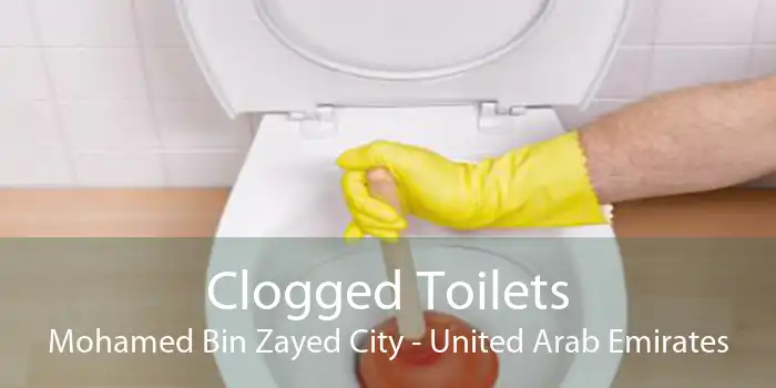 Clogged Toilets Mohamed Bin Zayed City - United Arab Emirates