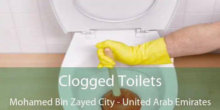 Clogged Toilets Mohamed Bin Zayed City - United Arab Emirates