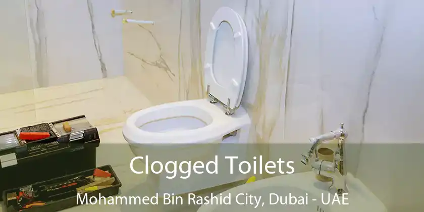  Clogged Toilets Mohammed Bin Rashid City, Dubai - UAE