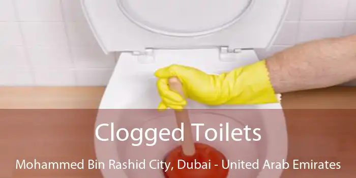 Clogged Toilets Mohammed Bin Rashid City, Dubai - United Arab Emirates