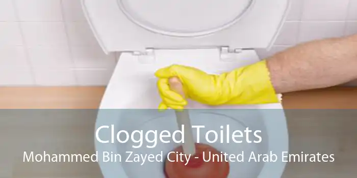 Clogged Toilets Mohammed Bin Zayed City - United Arab Emirates