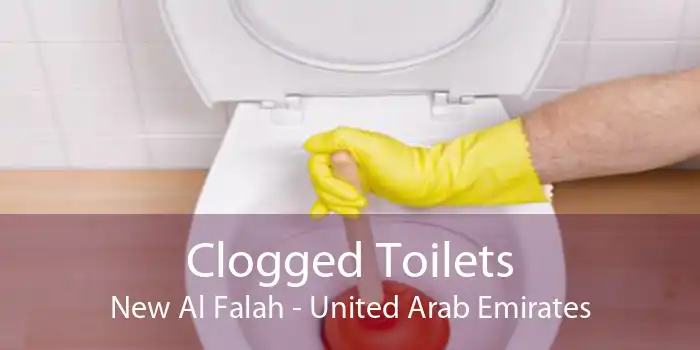 Clogged Toilets New Al Falah - United Arab Emirates