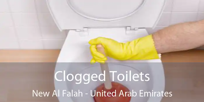 Clogged Toilets New Al Falah - United Arab Emirates