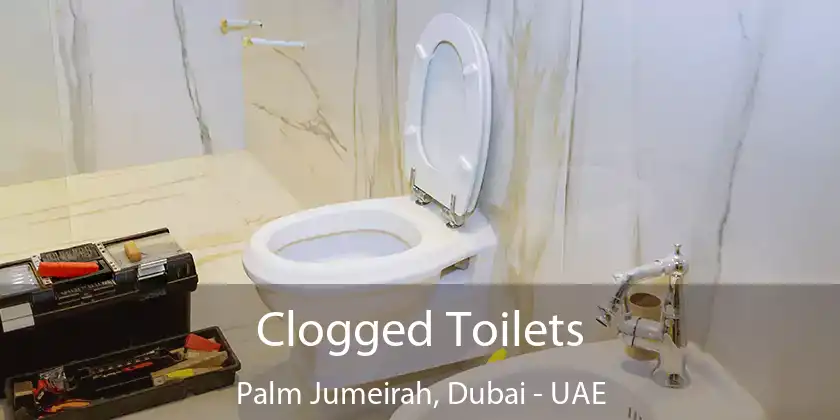 Clogged Toilets Palm Jumeirah, Dubai - UAE