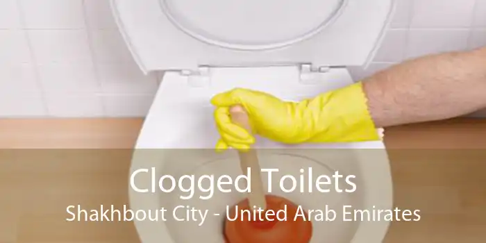 Clogged Toilets Shakhbout City - United Arab Emirates