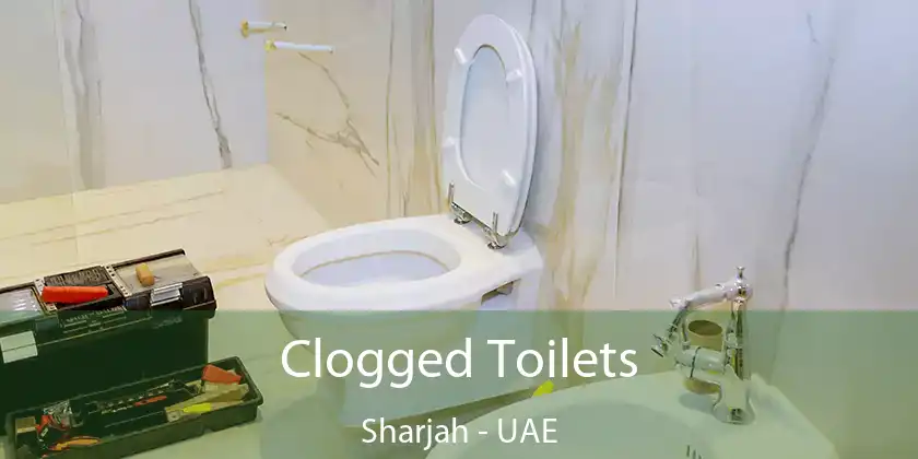 Clogged Toilets Sharjah - UAE