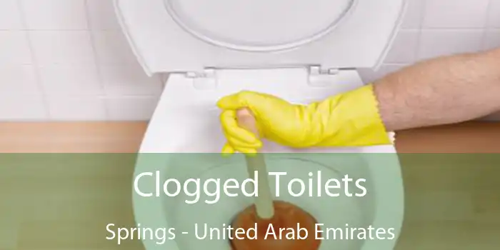 Clogged Toilets Springs - United Arab Emirates