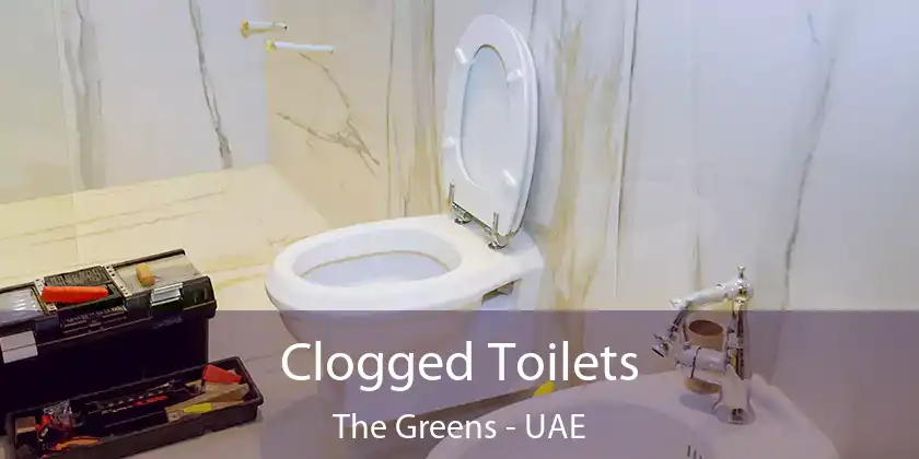  Clogged Toilets The Greens - UAE