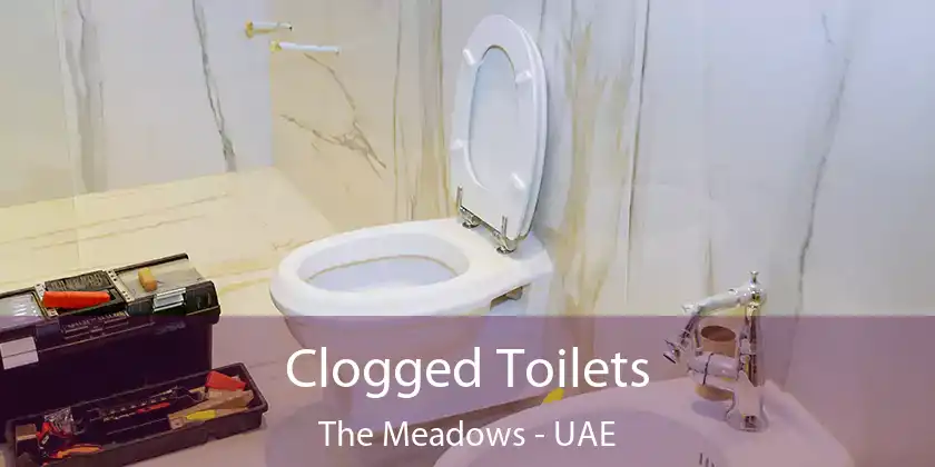  Clogged Toilets The Meadows - UAE