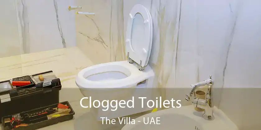  Clogged Toilets The Villa - UAE