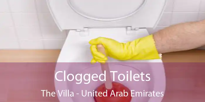 Clogged Toilets The Villa - United Arab Emirates