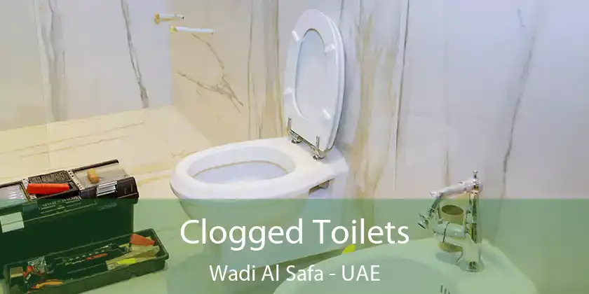  Clogged Toilets Wadi Al Safa - UAE