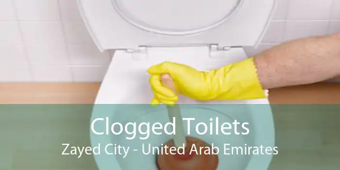 Clogged Toilets Zayed City - United Arab Emirates