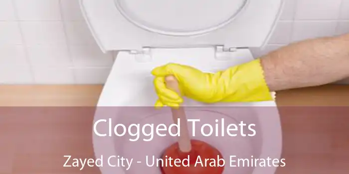 Clogged Toilets Zayed City - United Arab Emirates