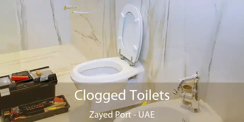  Clogged Toilets Zayed Port - UAE