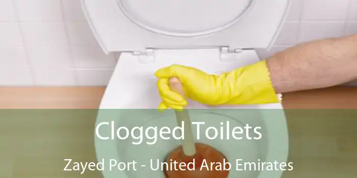 Clogged Toilets Zayed Port - United Arab Emirates