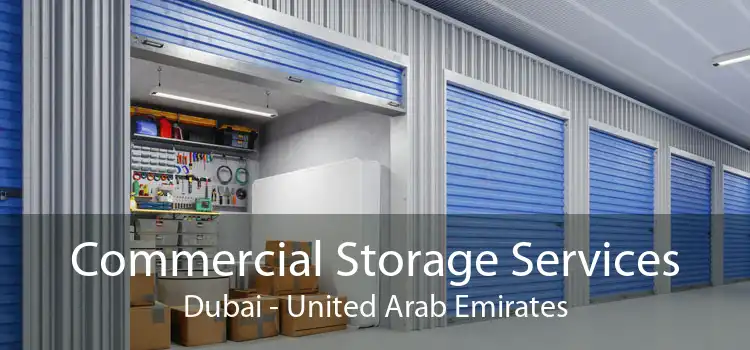 Commercial Storage Services Dubai - United Arab Emirates