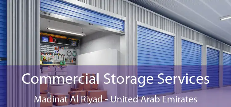 Commercial Storage Services Madinat Al Riyad - United Arab Emirates