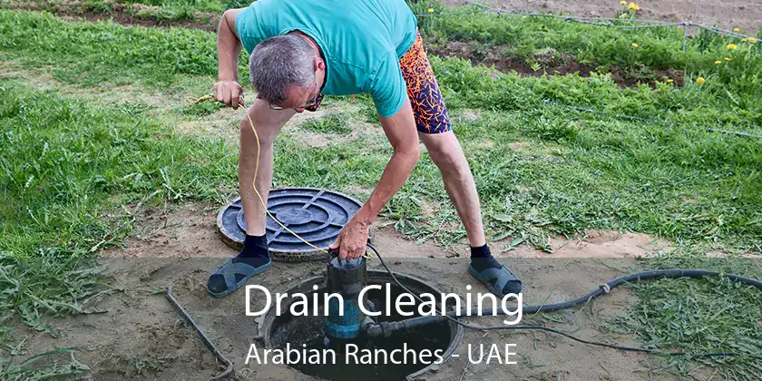  Drain Cleaning Arabian Ranches - UAE