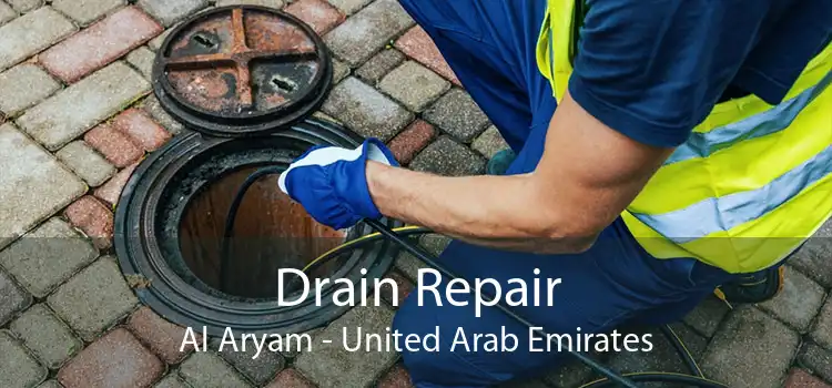 Drain Repair Al Aryam - United Arab Emirates