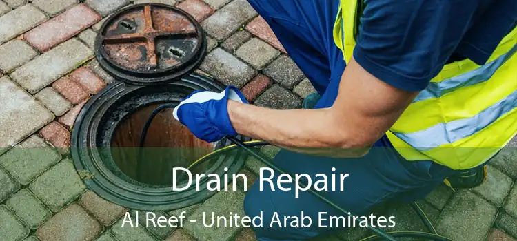 Drain Repair Al Reef - United Arab Emirates