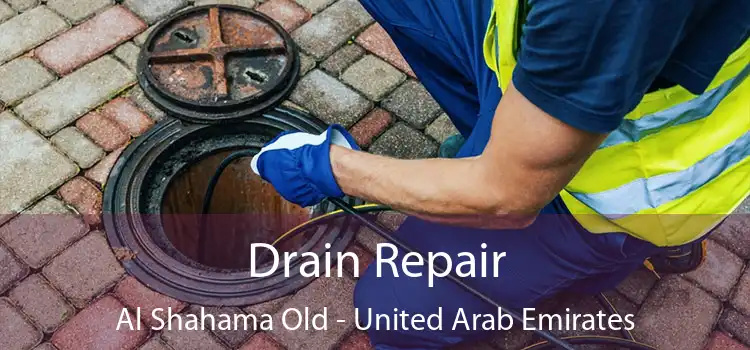 Drain Repair Al Shahama Old - United Arab Emirates