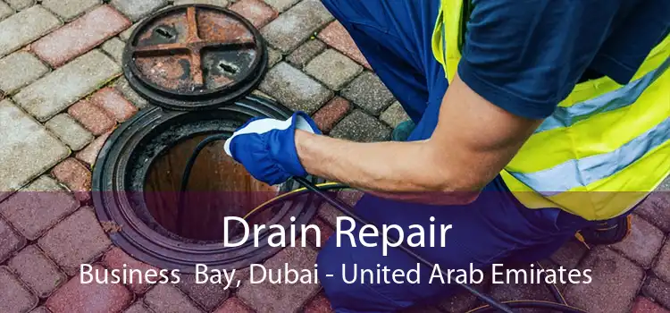 Drain Repair Business  Bay, Dubai - United Arab Emirates