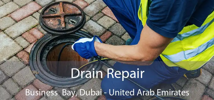 Drain Repair Business  Bay, Dubai - United Arab Emirates