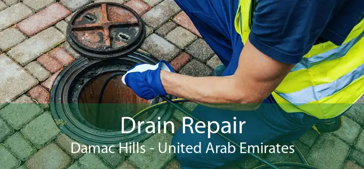 Drain Repair Damac Hills - United Arab Emirates